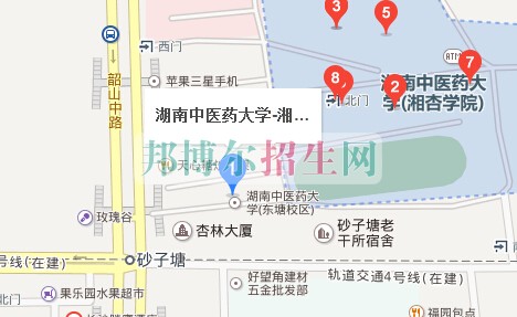 湖南中醫(yī)藥大學湘杏學院