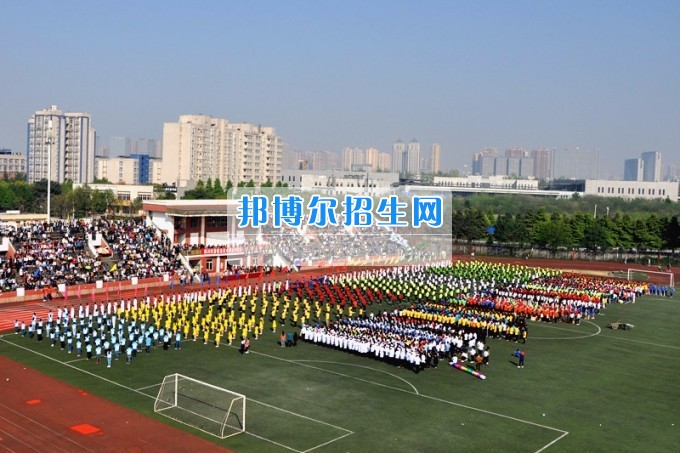 2017年四川托普信息技術(shù)職業(yè)學(xué)院第十七屆春季田徑運(yùn)動會隆重開幕