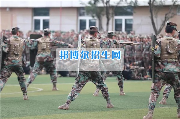 2017年成都航空旅游職業(yè)學(xué)校軍訓(xùn)匯報表演