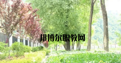 康縣職業(yè)技術學校2020年招生辦聯(lián)系電話