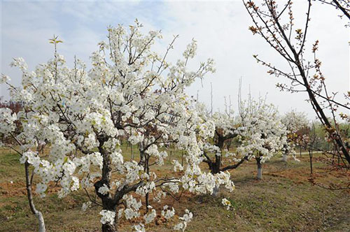 宿遷高等師范學(xué)校怎么樣、好不好