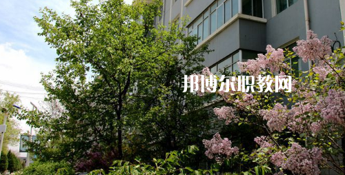 蘭州科技職業(yè)學院2021年招生辦聯(lián)系電話